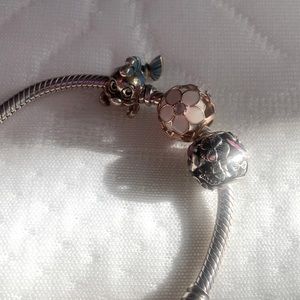 Extra small pandora Disney princess edition.